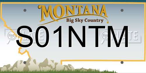 S01NTM Montana License Plate
