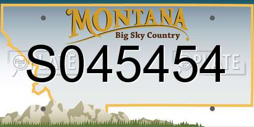 S045454 Montana License Plate
