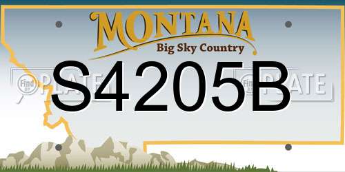 S4205B Montana License Plate