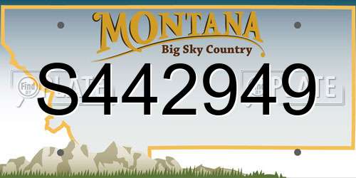 S442949 Montana License Plate