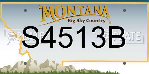 S4513B Montana License Plate