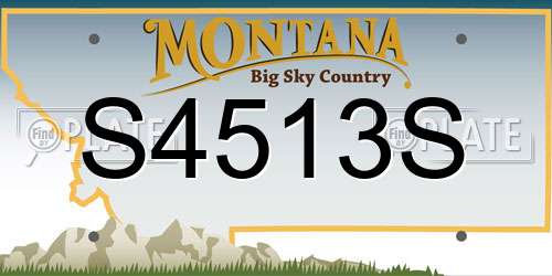 S4513S Montana License Plate