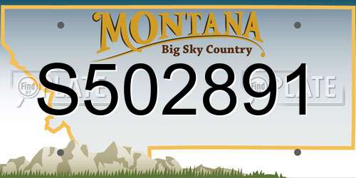 S502891 Montana License Plate