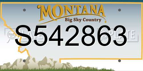 S542863 Montana License Plate
