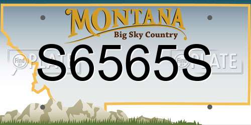 S6565S Montana License Plate