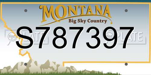S787397 Montana License Plate
