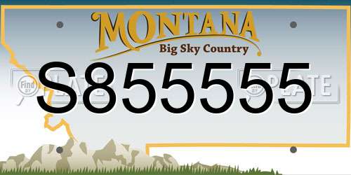 S855555 Montana License Plate
