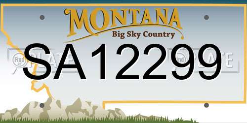 SA12299 Montana License Plate