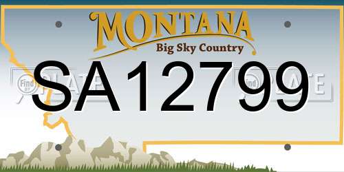 SA12799 Montana License Plate