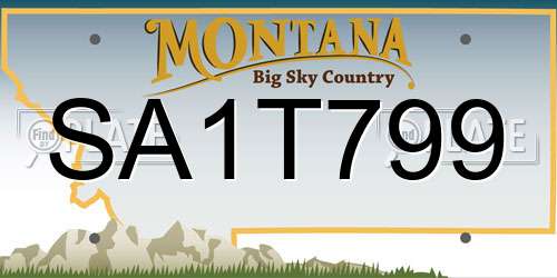 SA1T799 Montana License Plate