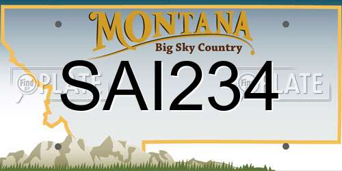 SAI234 Montana License Plate