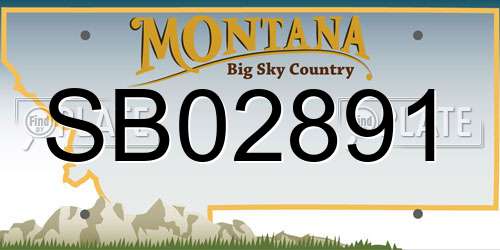 SB02891 Montana License Plate