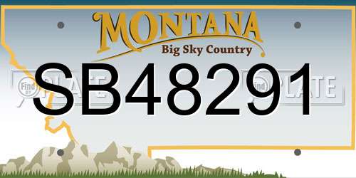 SB48291 Montana License Plate