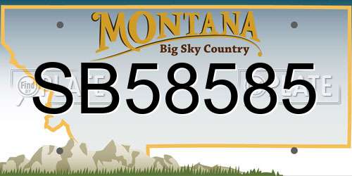 SB58585 Montana License Plate