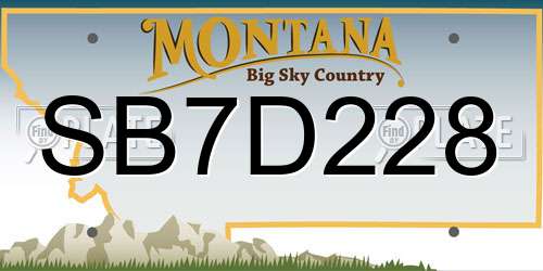 SB7D228 Montana License Plate