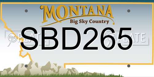 SBD265 Montana License Plate