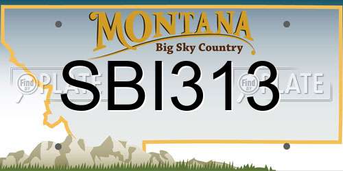 SBI313 Montana License Plate