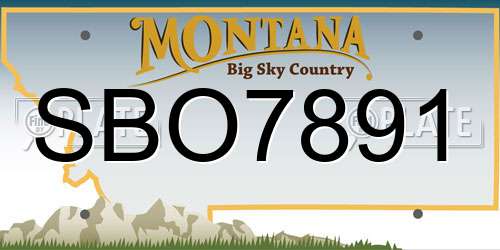 SBO7891 Montana License Plate
