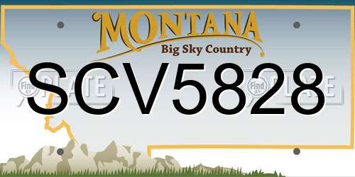 SCV5828 Montana License Plate