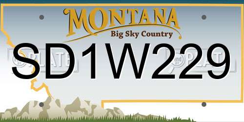 SD1W229 Montana License Plate