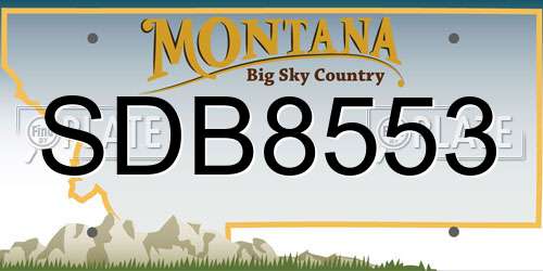 SDB8553 Montana License Plate