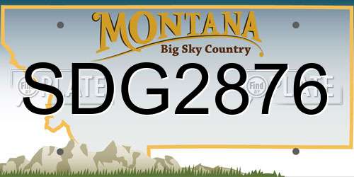 SDG2876 Montana License Plate