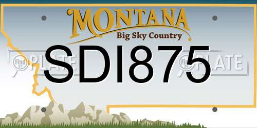 SDI875 Montana License Plate