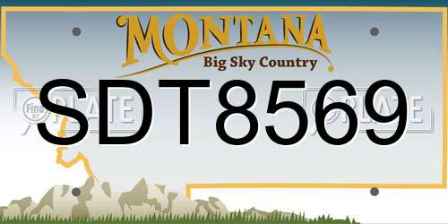 SDT8569 Montana License Plate