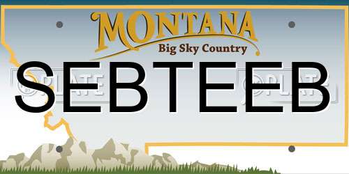 SEBTEEB Montana License Plate