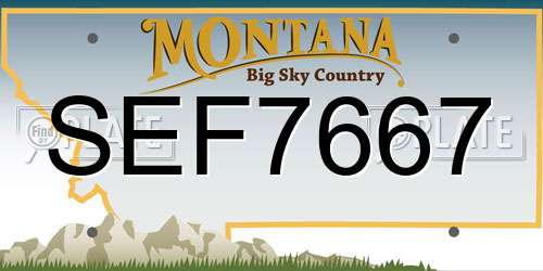 SEF7667 Montana License Plate