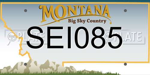 SEI085 Montana License Plate