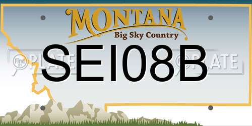 SEI08B Montana License Plate