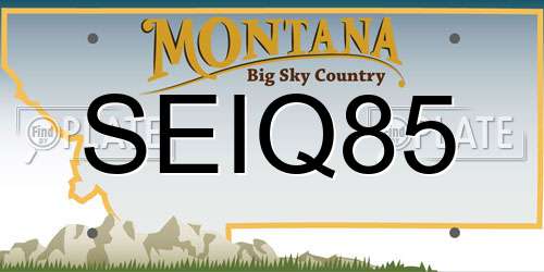 SEIQ85 Montana License Plate