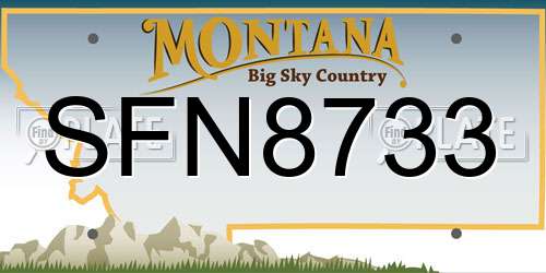 SFN8733 Montana License Plate