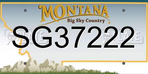SG37222 Montana License Plate
