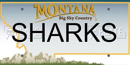 SHARKS Montana License Plate