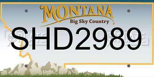 SHD2989 Montana License Plate