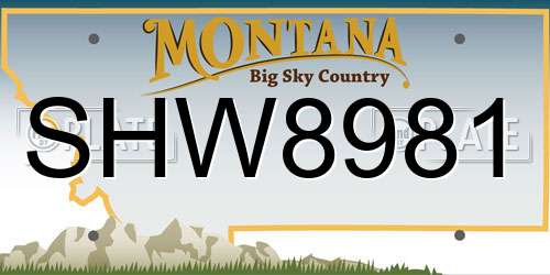 SHW8981 Montana License Plate