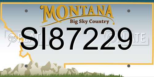 SI87229 Montana License Plate
