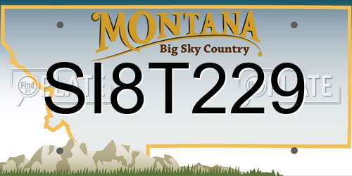 SI8T229 Montana License Plate