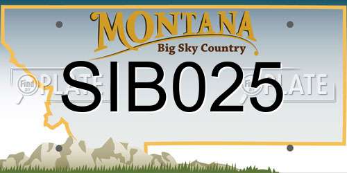 SIB025 Montana License Plate