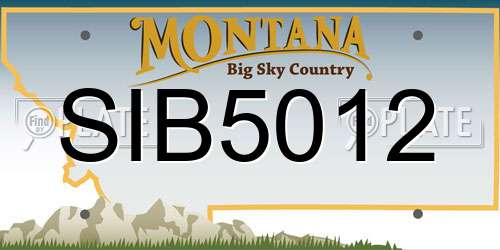 SIB5012 Montana License Plate