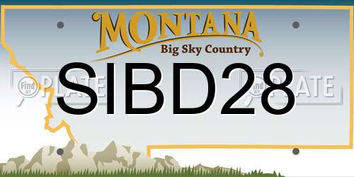SIBD28 Montana License Plate