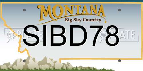 SIBD78 Montana License Plate