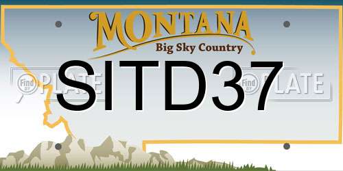 SITD37 Montana License Plate