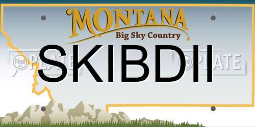 SKIBDII Montana License Plate