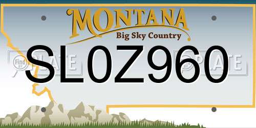SL0Z960 Montana License Plate
