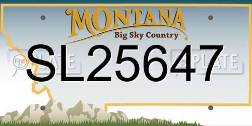 SL25647 Montana License Plate