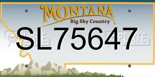SL75647 Montana License Plate