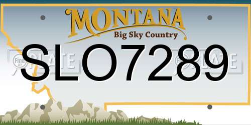 SLO7289 Montana License Plate